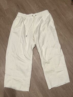 NWOT Free people pants